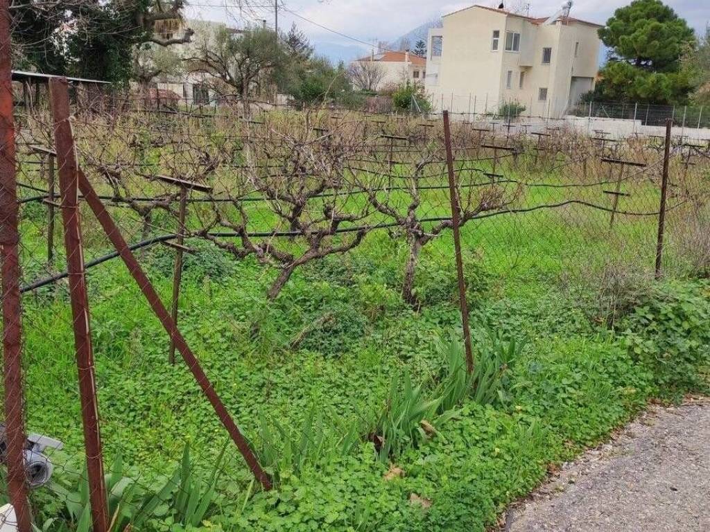 Εξωτερική άποψη