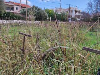 Εξωτερική άποψη