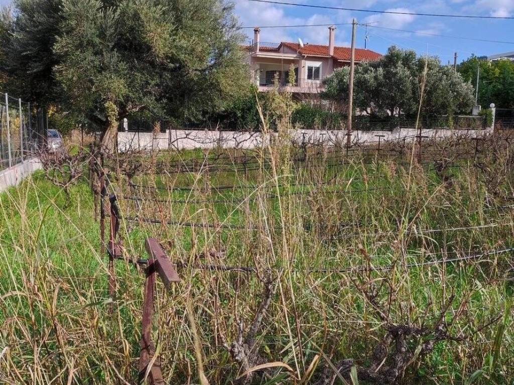 Εξωτερική άποψη