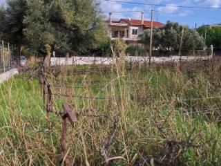 Εξωτερική άποψη