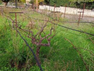 Εξωτερική άποψη