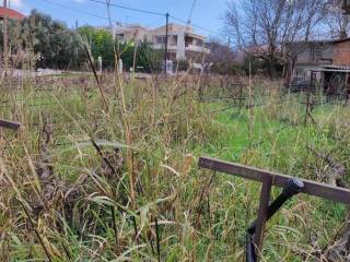 Εξωτερική άποψη