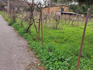 Εξωτερική άποψη