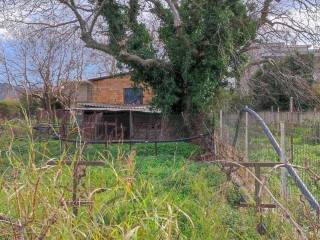 Εξωτερική άποψη