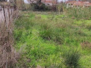 Εξωτερική άποψη