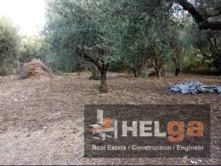 Εξωτερική άποψη