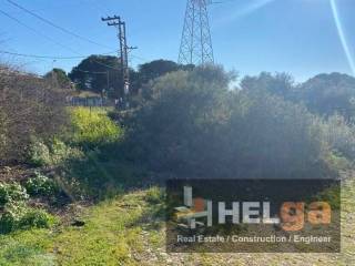 Εξωτερική άποψη