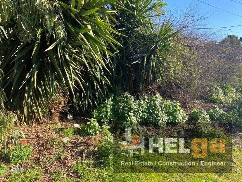 Εξωτερική άποψη