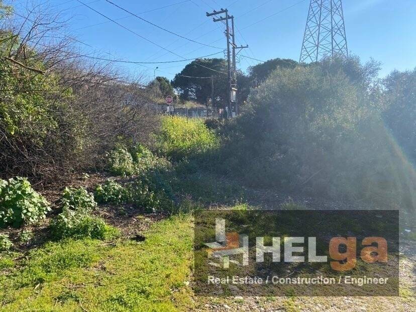 Εξωτερική άποψη