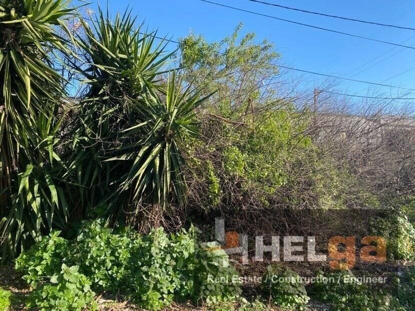 Εξωτερική άποψη