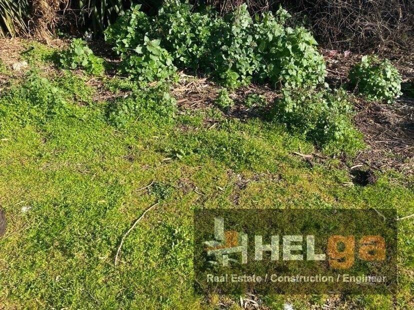 Εξωτερική άποψη