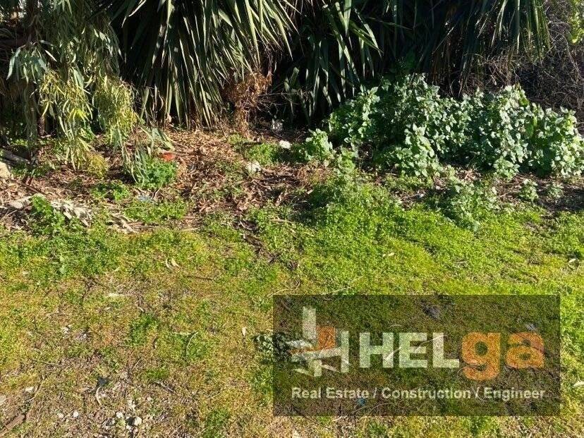 Εξωτερική άποψη