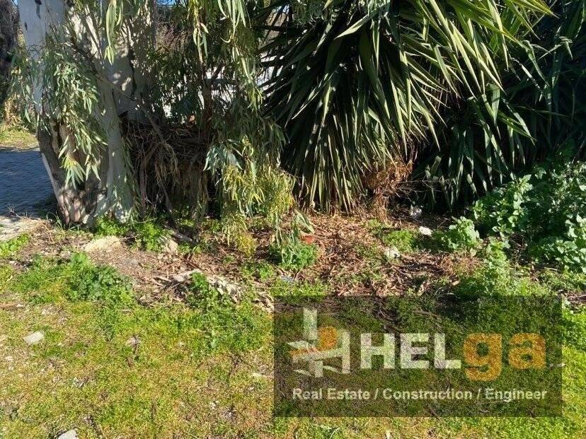 Εξωτερική άποψη