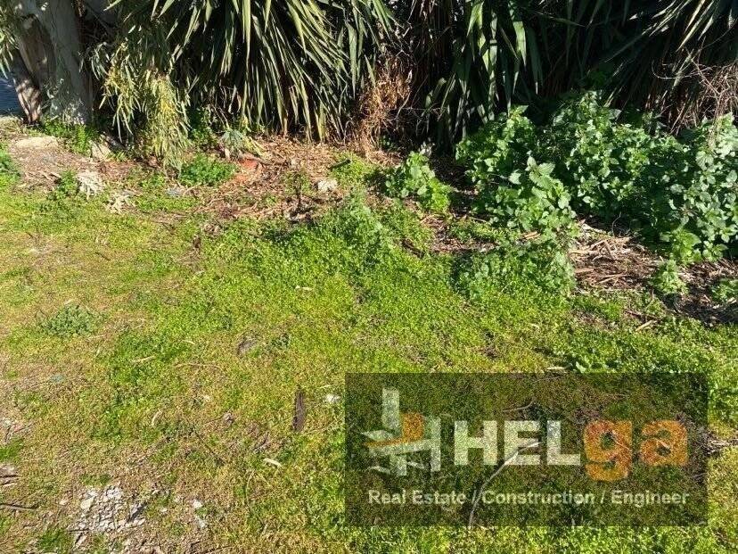 Εξωτερική άποψη