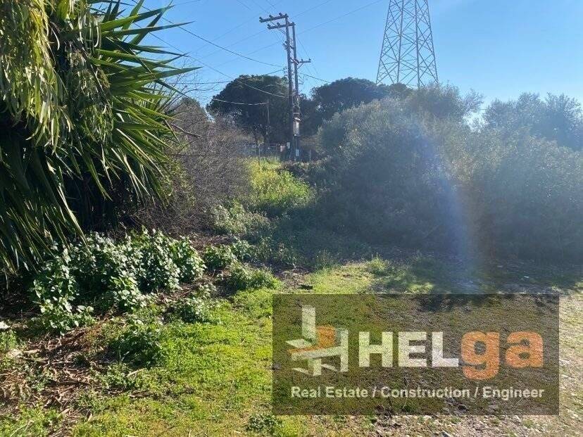 Εξωτερική άποψη