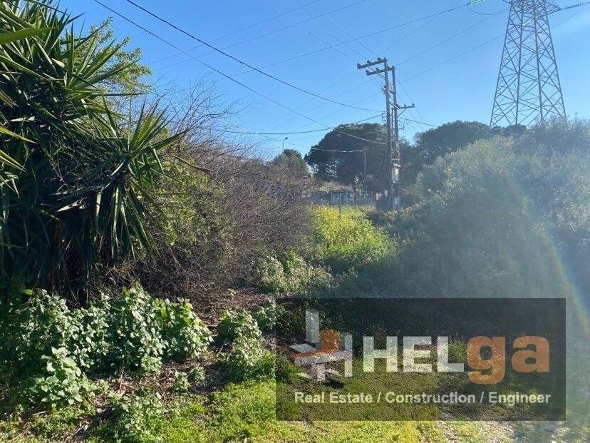 Εξωτερική άποψη