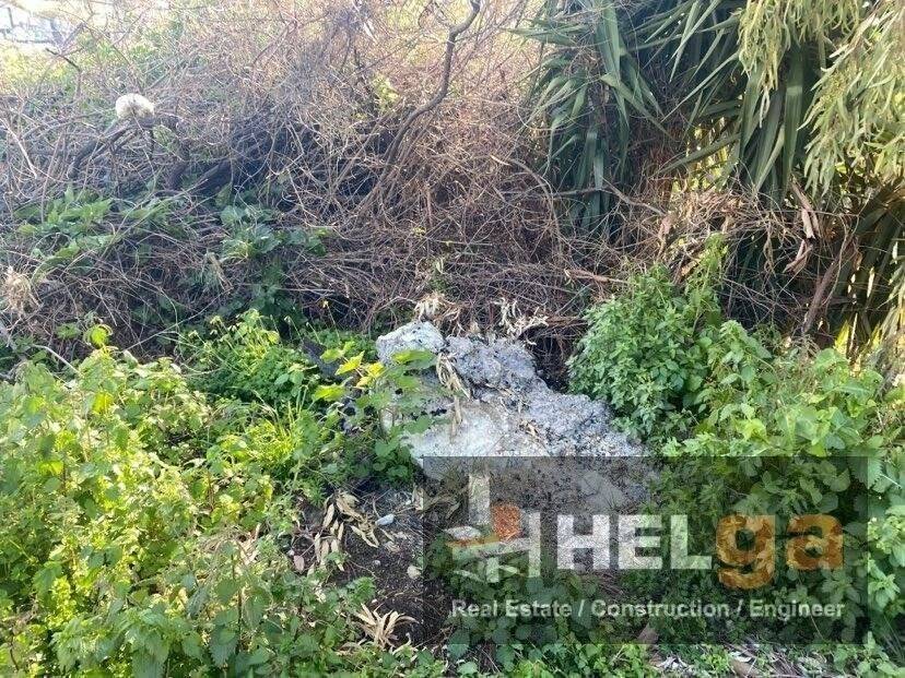 Εξωτερική άποψη