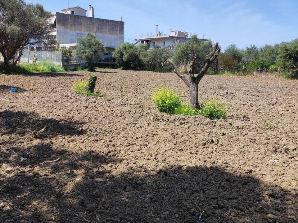 Εξωτερική άποψη