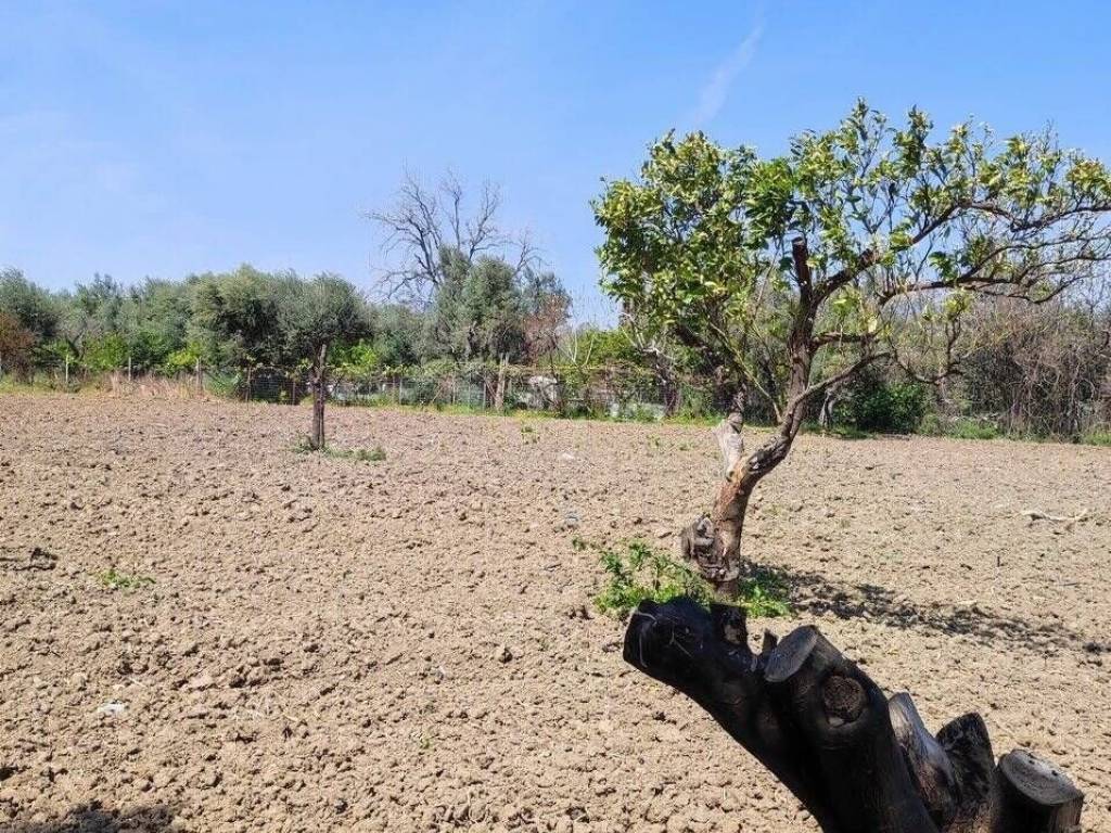 Εξωτερική άποψη