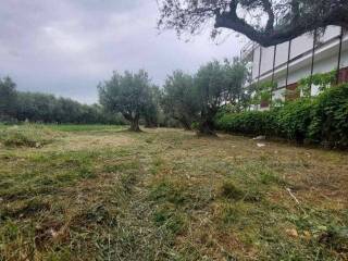 Εξωτερική άποψη