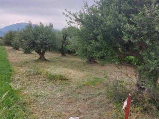 Εξωτερική άποψη