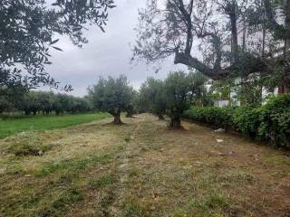 Εξωτερική άποψη