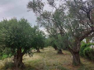 Εξωτερική άποψη