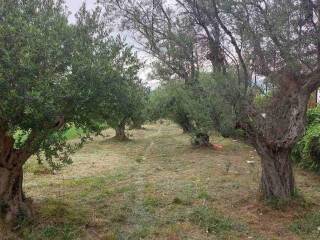 Εξωτερική άποψη