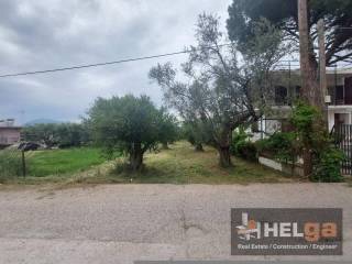 Εξωτερική άποψη