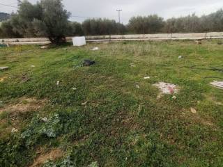 ΠΡΟΣΟΨΗ-ΟΙΚΟΠΕΔΟ