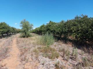 Plot even and buildable, total area 2600 sq.m