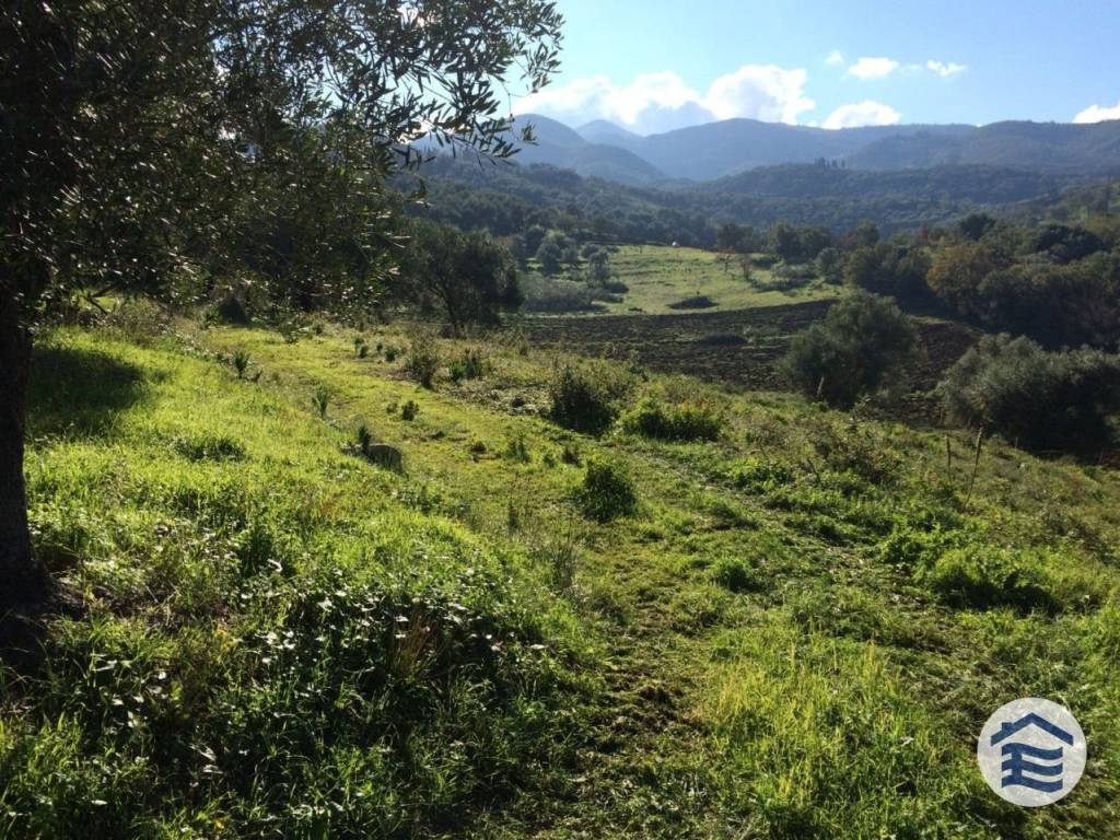 the land and view of the mountain