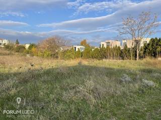 Forumland Real Estate, αγροτεμάχιο