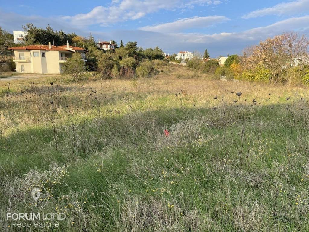 Forumland Real Estate, Αγροτεμάχιο