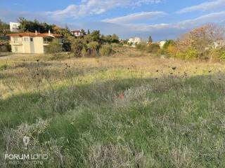 Forumland Real Estate, Αγροτεμάχιο