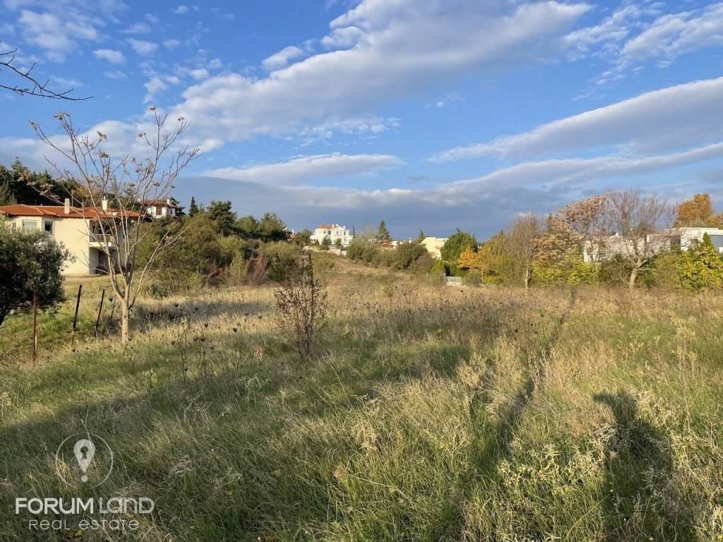 Forumland Real Estate, αγροτεμάχιο