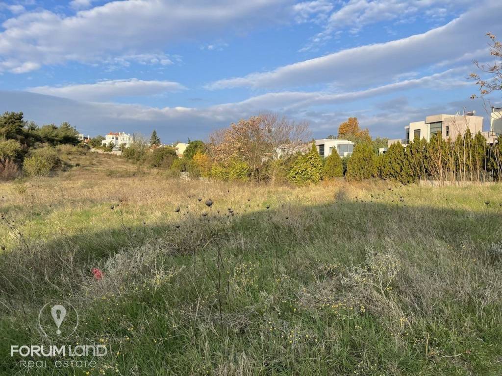 Forumland Real Estate, αγροτεμάχιο