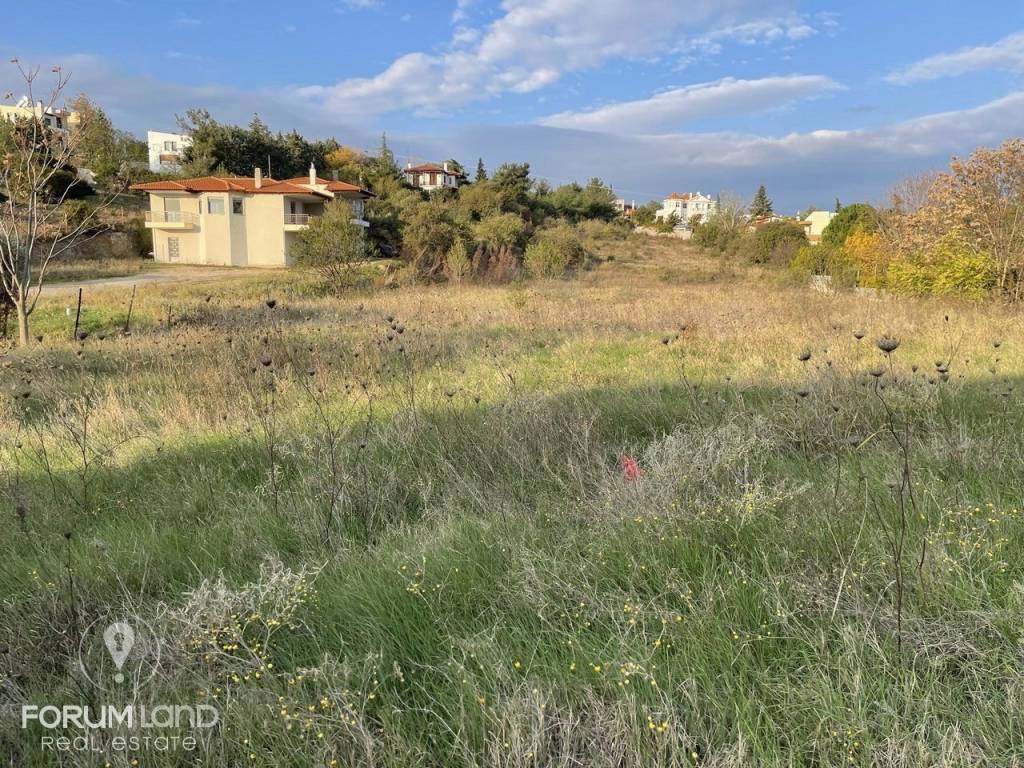 Forumland Real Estate, αγροτεμάχιο