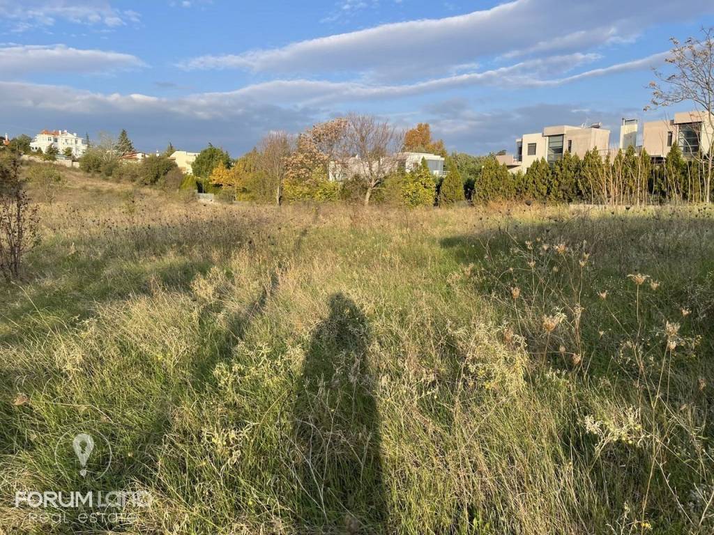 Forumland Real Estate, αγροτεμάχιο