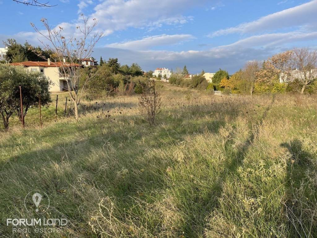 Forumland Real Estate, αγροτεμάχιο