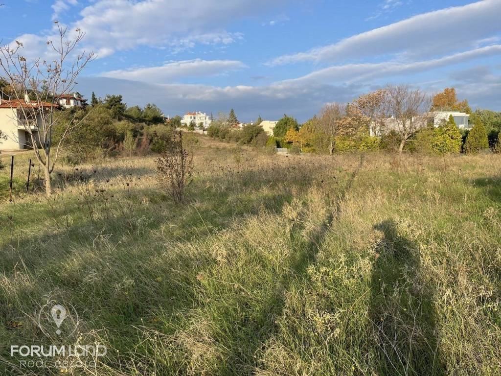 Forumland Real Estate, αγροτεμάχιο