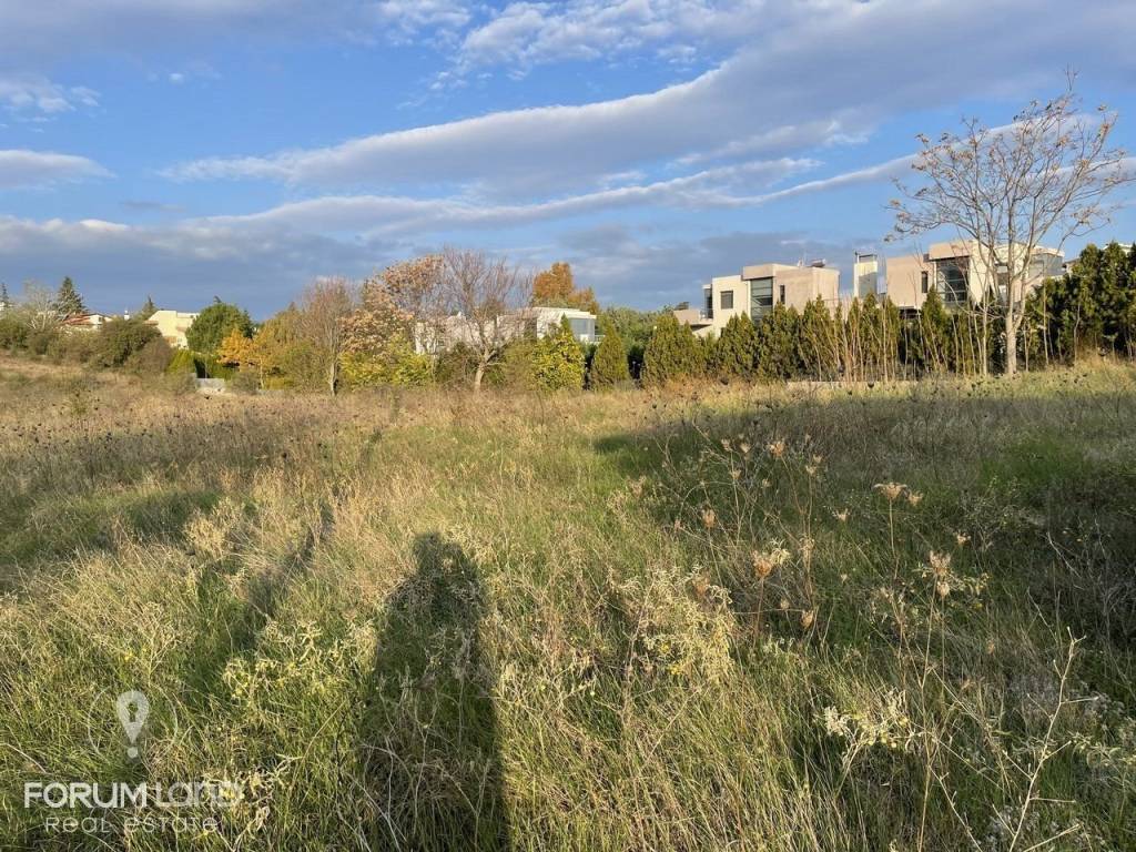 Forumland Real Estate, αγροτεμάχιο