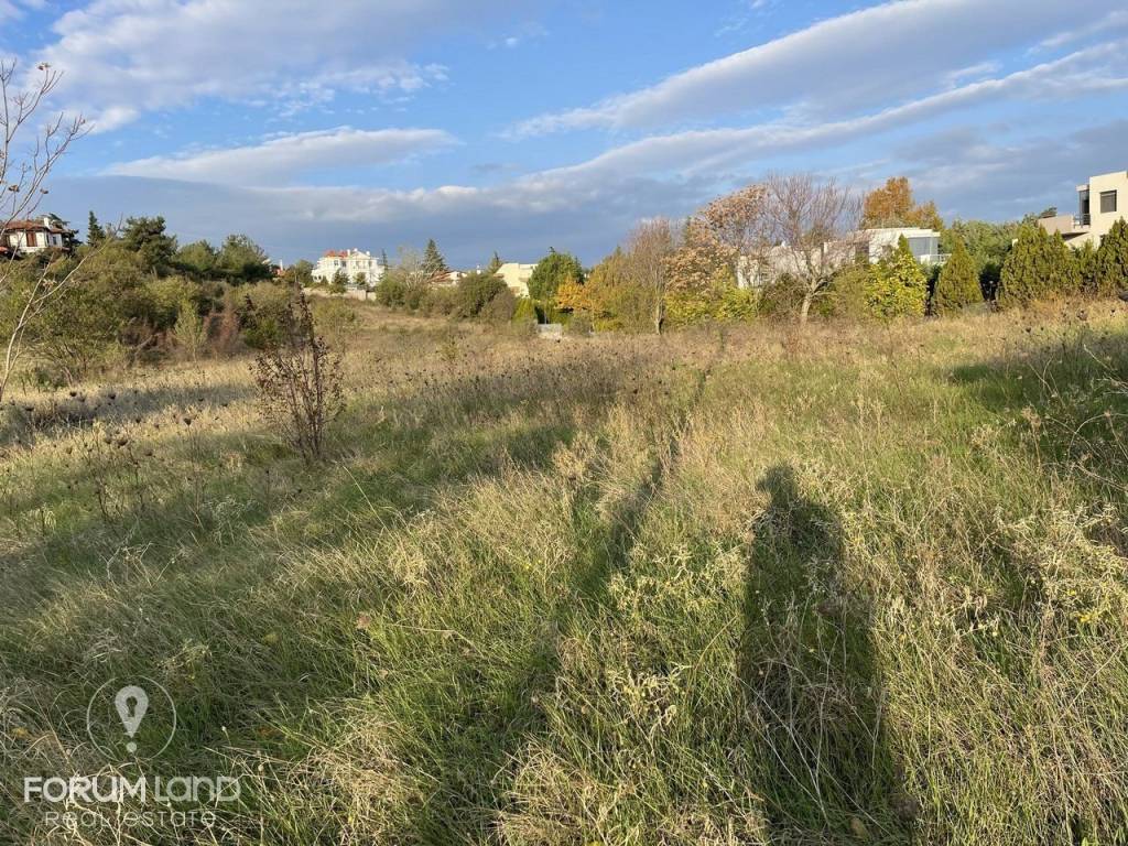 Forumland Real Estate, αγροτεμάχιο