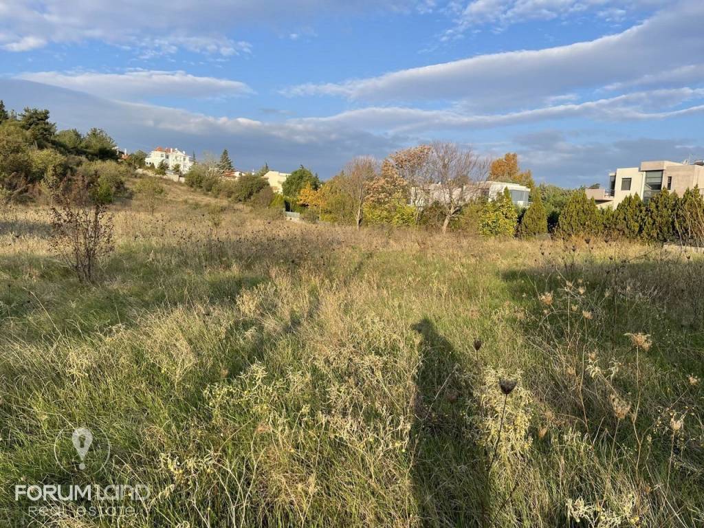 Forumland Real Estate, αγροτεμάχιο