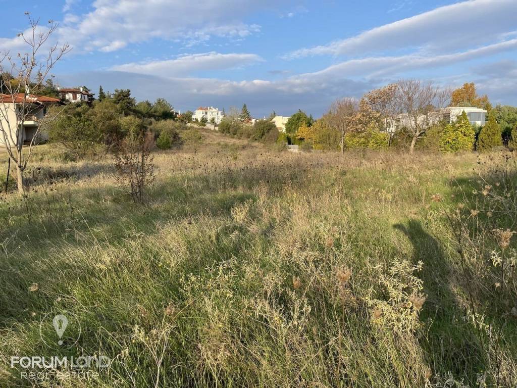 Forumland Real Estate, αγροτεμάχιο