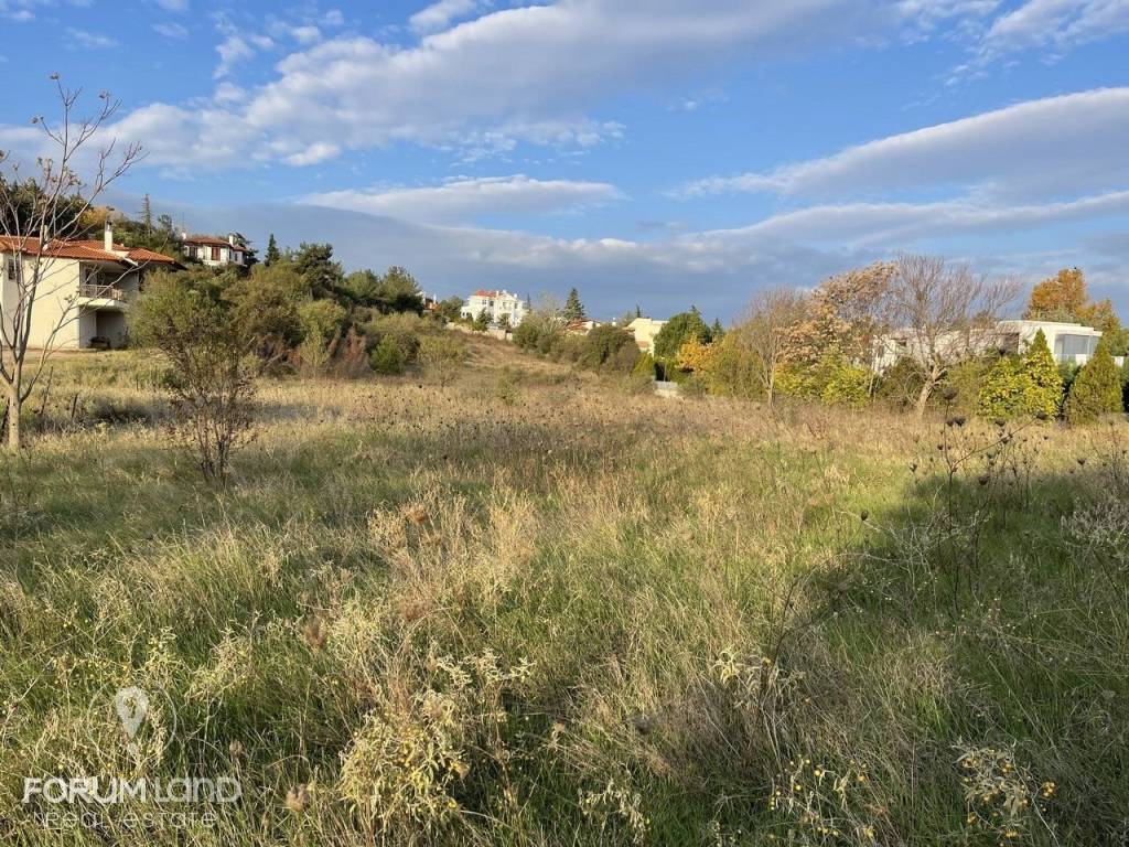 Forumland Real Estate, αγροτεμάχιο