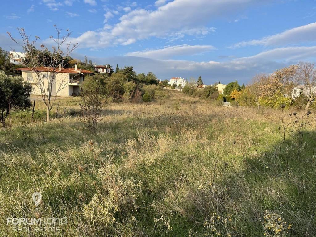 Forumland Real Estate, αγροτεμάχιο