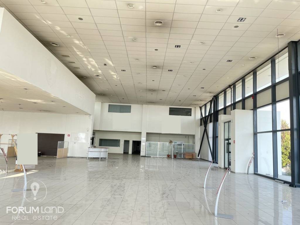 Forumland Real Estate, ισόγειο