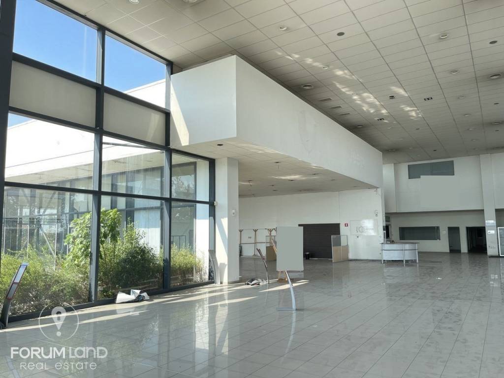 Forumland Real Estate, ισόγειο