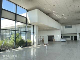 Forumland Real Estate, ισόγειο